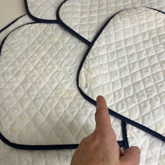 Set of 10 Quilted Fabric Blue Floral Placemats W/ Matching NeverUsed Napkins - Picture 14 of 16